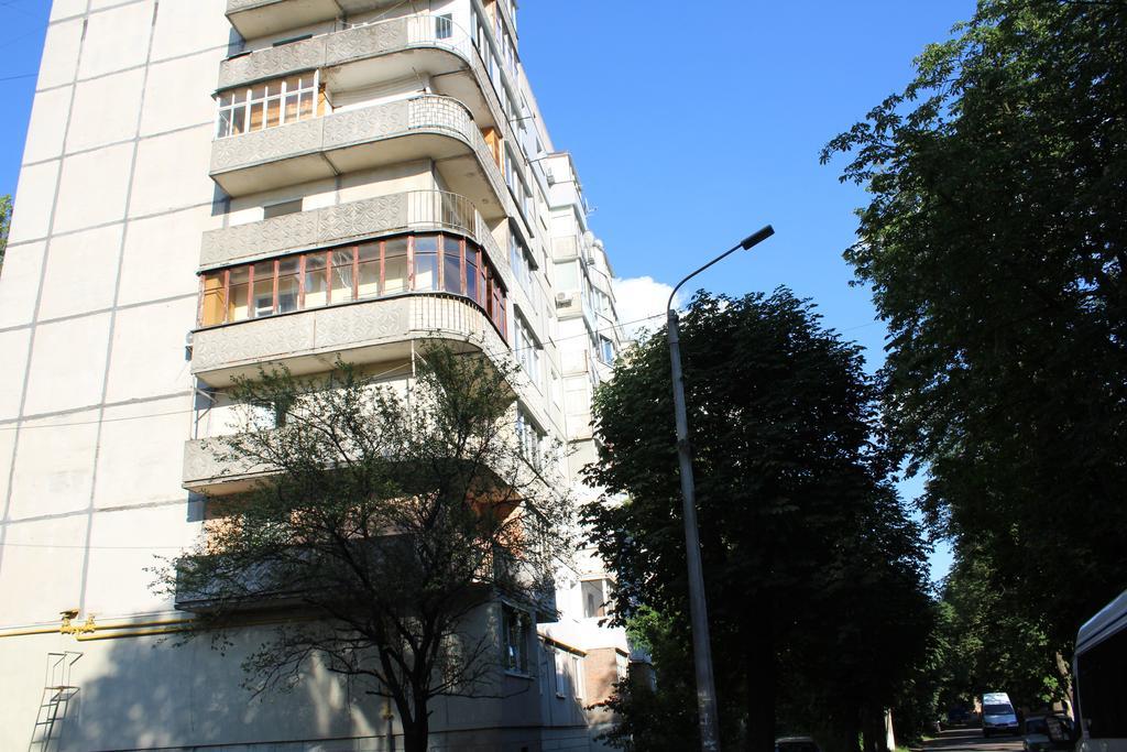 On Novaya Street 5